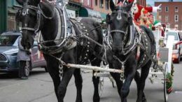 Holiday event showcases the holidays in downtown Owego