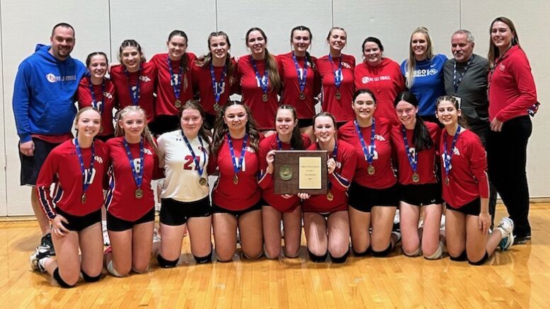Owego Volleyball brings home section title 