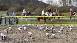 Pennsylvania man arraigned on 105-count indictment; Animal Cruelty charges are now on the table, among others