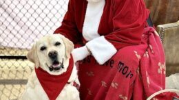 I’ve been a good dog, Santa Paws