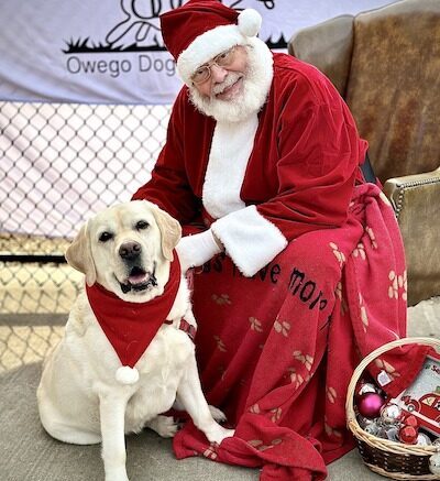 I’ve been a good dog, Santa Paws