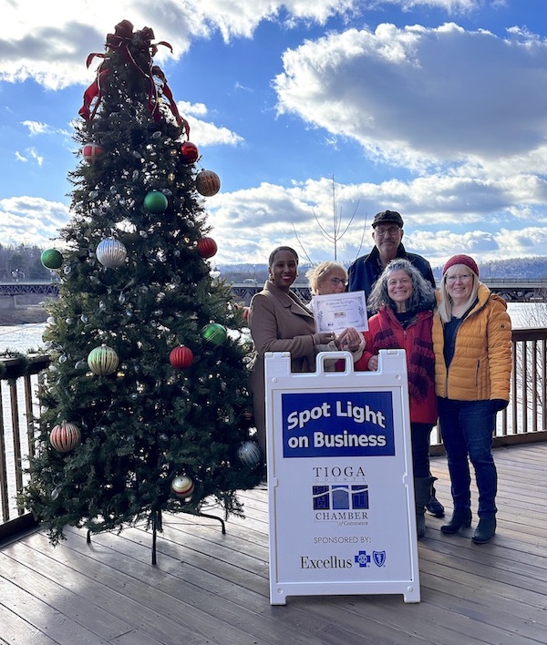 Organizations and businesses recognized in Owego