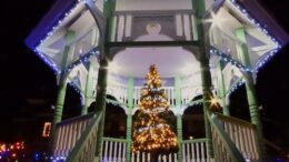 Incredible light shows capture the season!