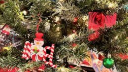 O'Tannenbaum underway at the Tioga County Historical Society Museum