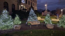 Tree For Life event to support Guthrie Hospice