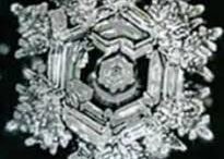 Water Retains Memory; The vibration of our positive thoughts re-energizes water and matter; change your life with the power of thoughts