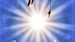 Be Light, Truly Smiling From Your Heart; Plant seeds of peace now and you will create a life of peace in the future