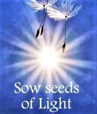 Be Light, Truly Smiling From Your Heart; Plant seeds of peace now and you will create a life of peace in the future
