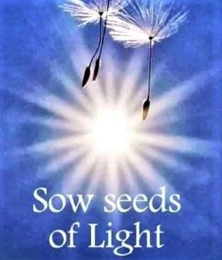 Be Light, Truly Smiling From Your Heart; Plant seeds of peace now and you will create a life of peace in the future