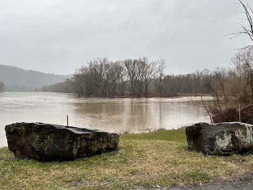 ‘Trout Unlimited’ taking stock in Owego Creek; Collaborative effort to boost trout population