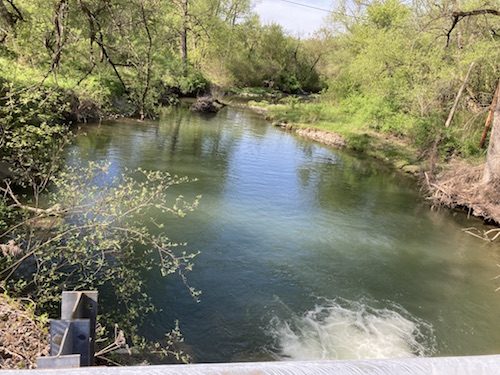 ‘Trout Unlimited’ taking stock in Owego Creek; Collaborative effort to boost trout population