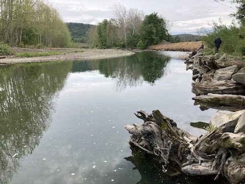 ‘Trout Unlimited’ taking stock in Owego Creek; Collaborative effort to boost trout population