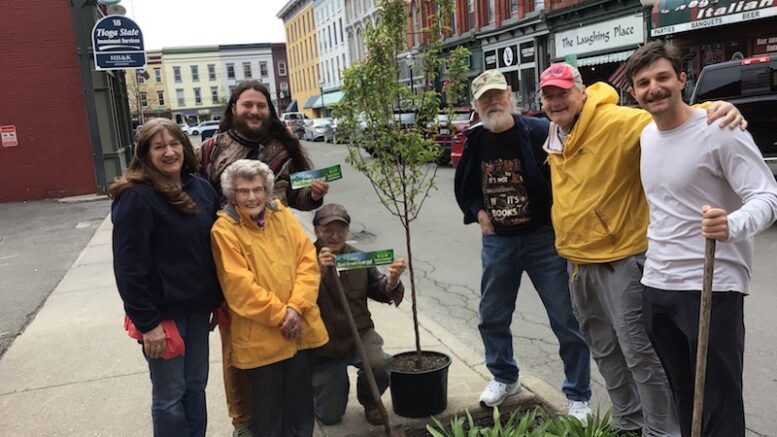 Bassett Foundation Board celebrates Owego Arbor Day