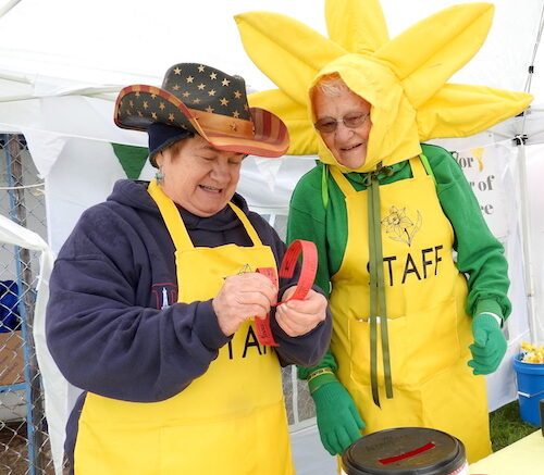 Daffodil festival met with clear skies, and then rain