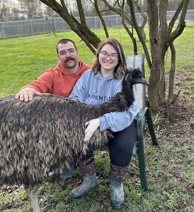 Built like a ‘boss’; Local emus capture attention