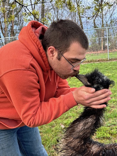 Built like a ‘boss’; Local emus capture attention