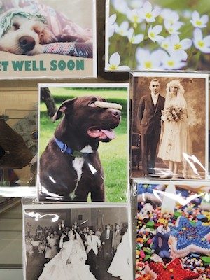 Gallery Forty-One's May Member of the month is Rebecca Smith