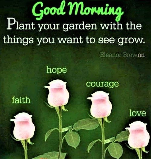 Sow Seeds of Positive Thoughts; Meditation and Its Effect of Vibrations on Environment