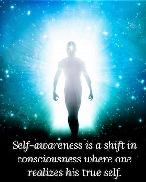 Power To Withdraw; Like the turtle, go within into your shell, withdraw from outer chaos and inner emotions, and receive clarity to create and choose the right response