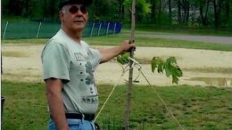 Improving our Earth, One Tree at a Time