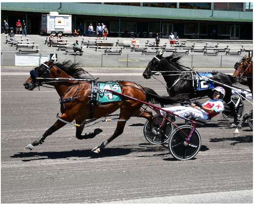 NYSS sophomore pacers head to Tioga on Sunday