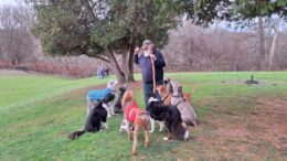 Owego's Dog Park begins holiday giving campaign