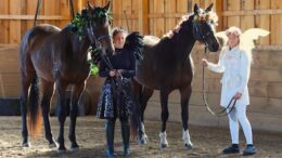 A little Halloween horsing around