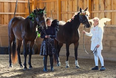 A little Halloween horsing around