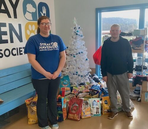 Santa Photo donations arrive at Stray Haven!