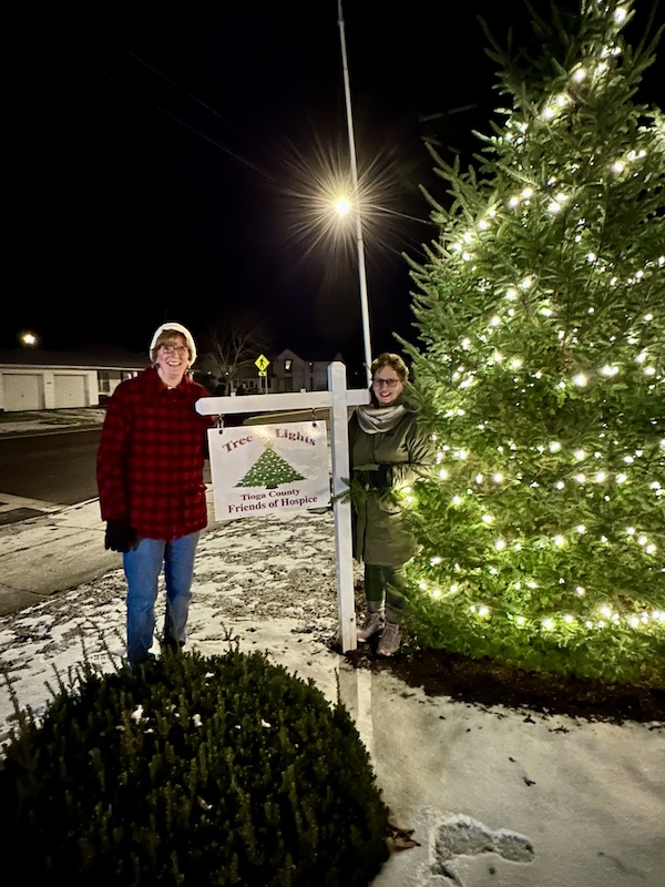 Honor Your Loved Ones on the Memorial Tree of Lights