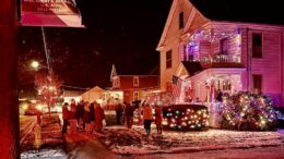 Honor Your Loved Ones on the Memorial Tree of Lights