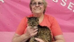 Gail’s Tails; In Memoriam of Kauai, A Tribute to Senior Pets