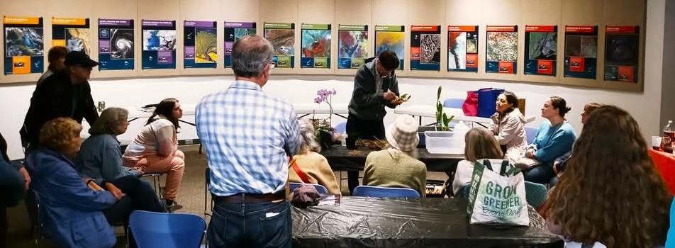 Celebrate spring at the Annual Spring Orchid Show