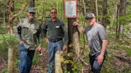 For the future of trout in Owego Creek