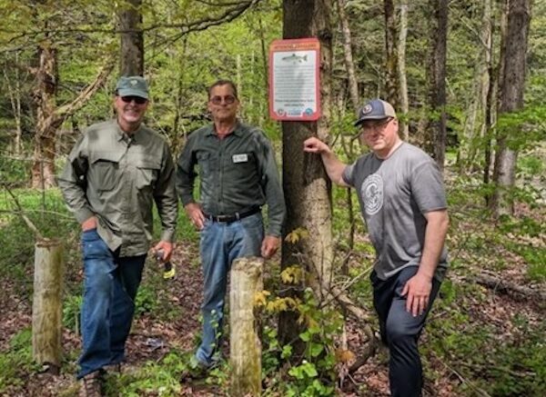 For the future of trout in Owego Creek