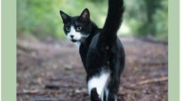 Farmer Thoughts: I'm Not Ashamed To Admit It