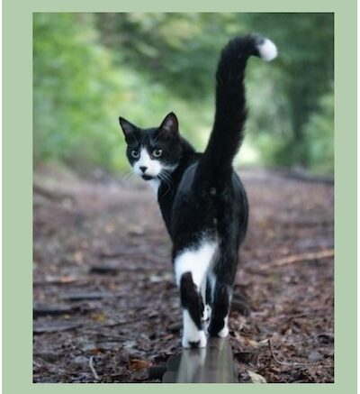 Farmer Thoughts: I'm Not Ashamed To Admit It