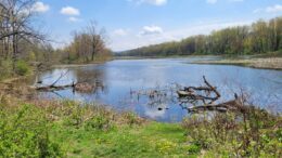 A Small Town Girl With a Heart as Big as Texas