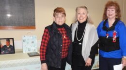 Preserving their stories; Committee helps preserve the stories of Tioga County veterans