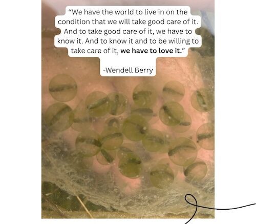 Farmer Thoughts: Know it & Love it