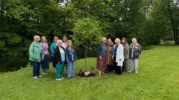 Tree planted in honor of the 250th year of our nation