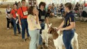 Waverly FFA and 4-H Collaborate at the Tioga County Fair