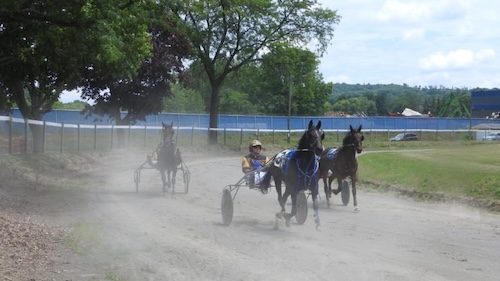 Experience the Thrill of Sire Stakes Harness Racing at the Tioga County Fairgrounds