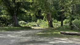 Body discovered in Owego’s Creek