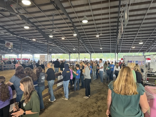 Owego FFA Earns 2nd Place Finish at NYS Livestock Evaluation at NYS Fair